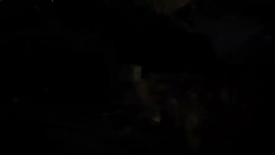 最喜欢的图像