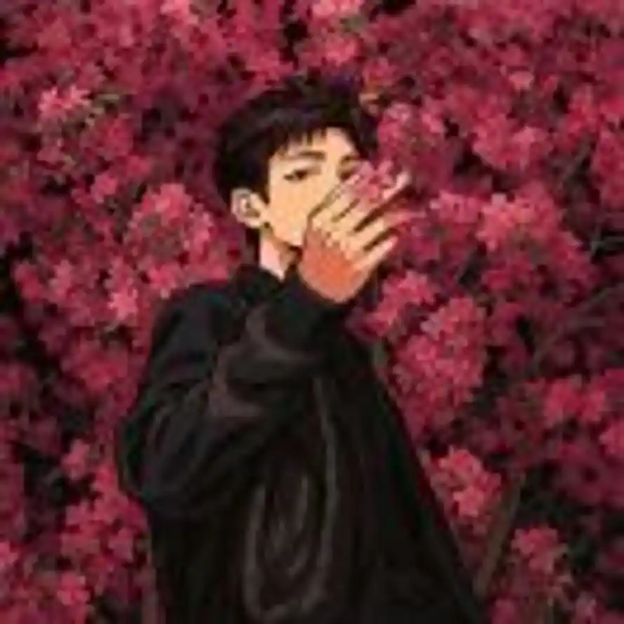 N Q X的头像