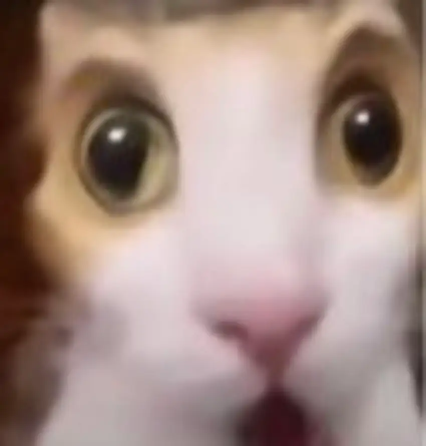 o.0的头像