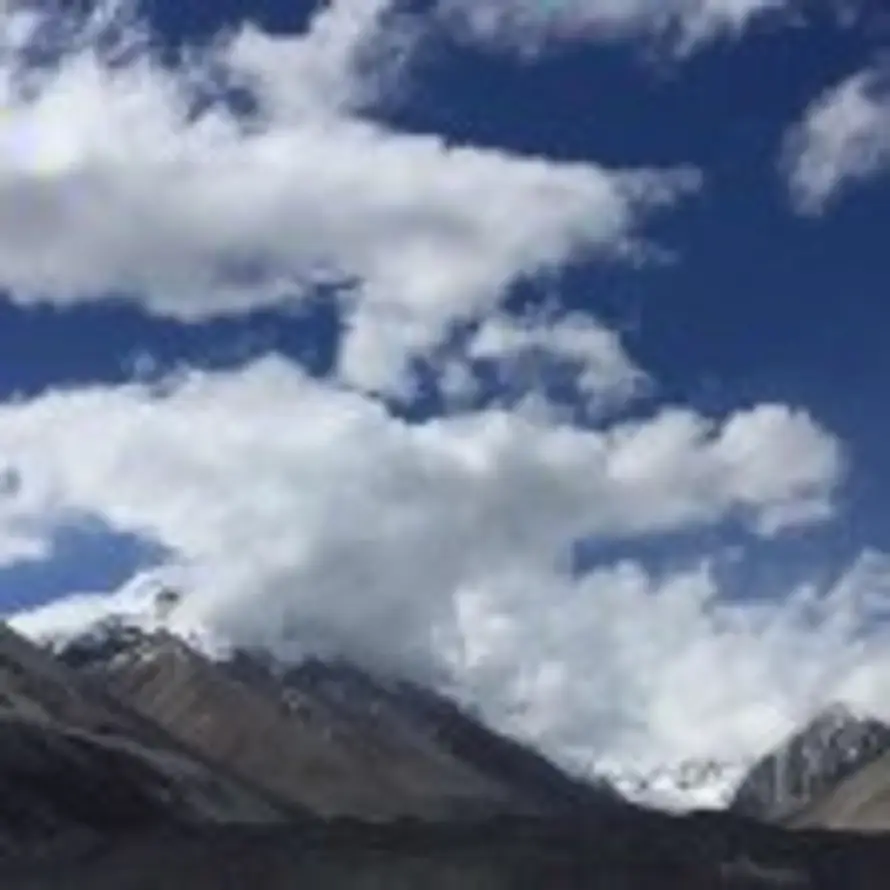 ash的头像