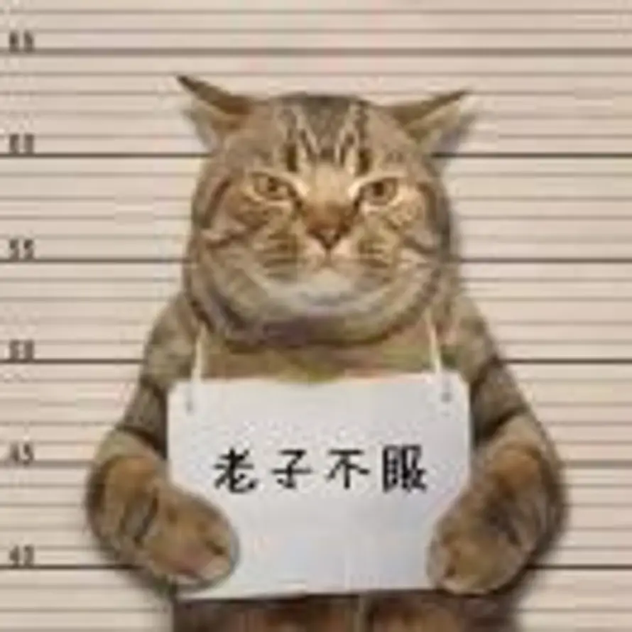 A-设计-T的头像