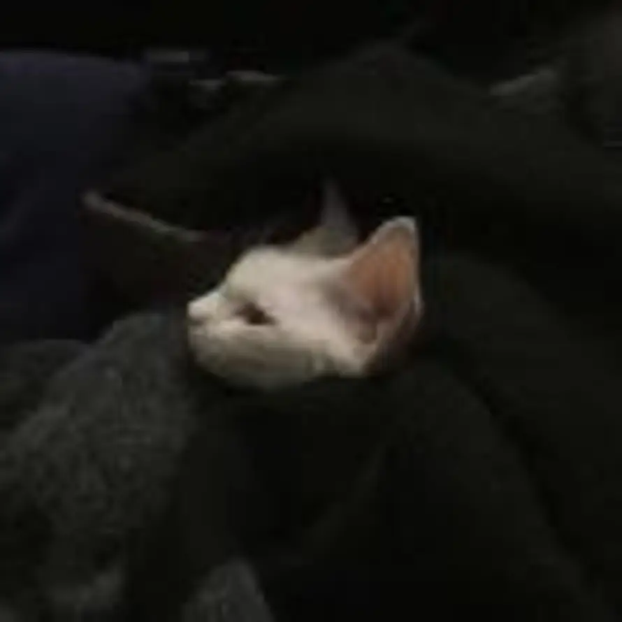￼的头像