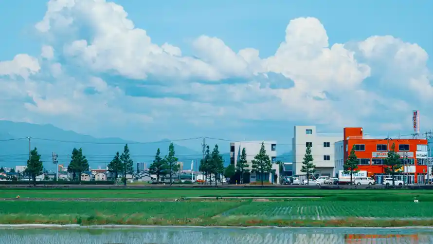 4k乡村壁纸 - 房屋 - 田野 - 白云「哲风壁纸」