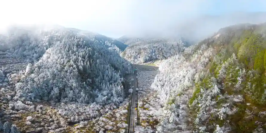 4k云雾壁纸 - 冬季 - 山林 - 道路「哲风壁纸」