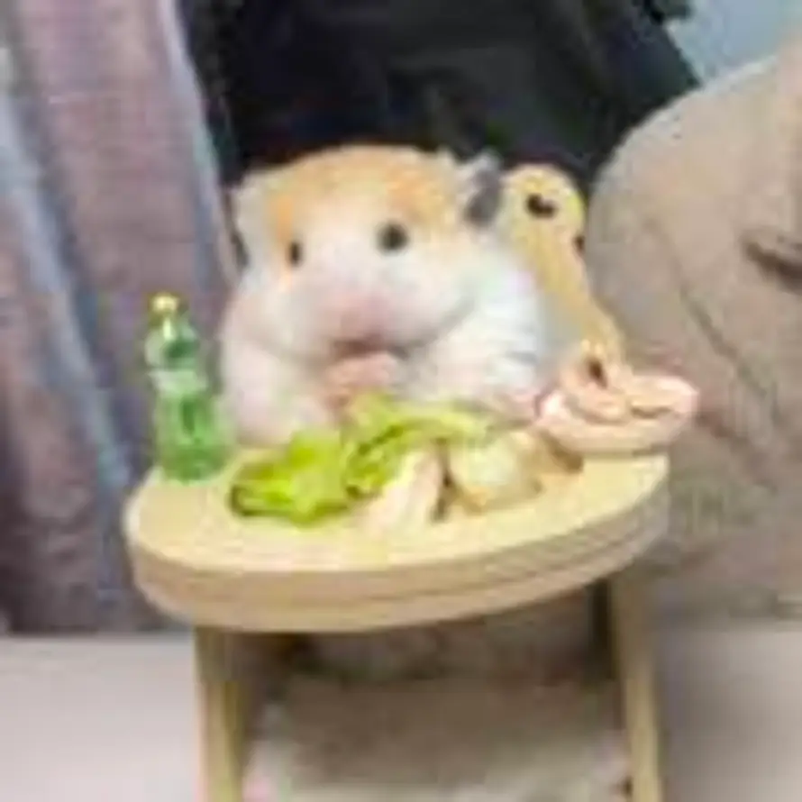 🥥 .的头像