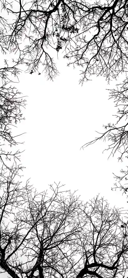 主题背景图片