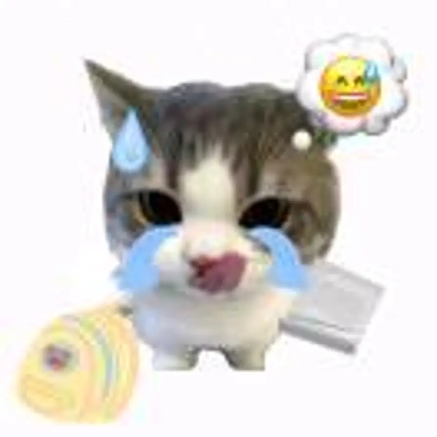 🍣的头像