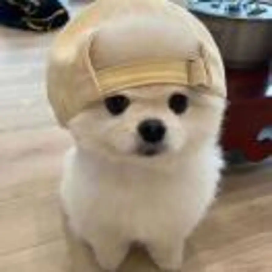 Eternity的头像