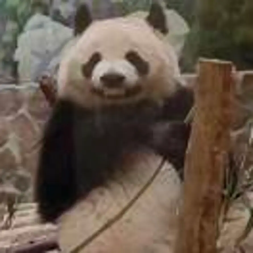 g3vjtak的头像