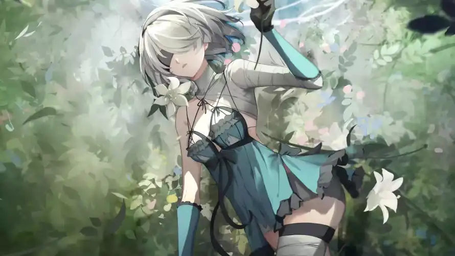 最喜欢的图像