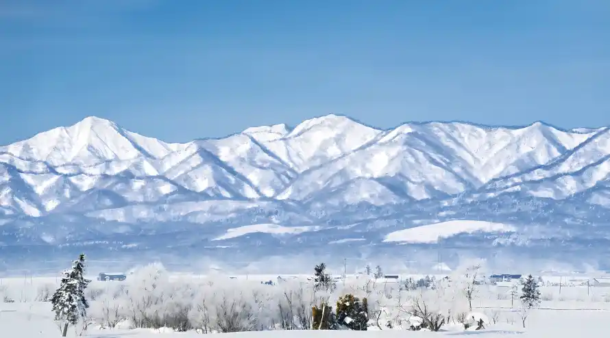 4k冬天壁纸-雪景和雪地-壁纸分享「哲风壁纸」