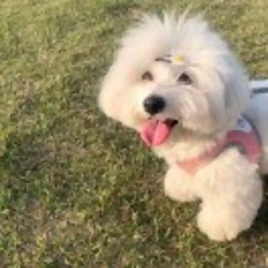 十三点的头像
