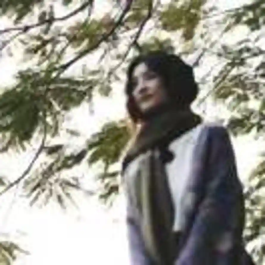 星星p不是野指针的头像