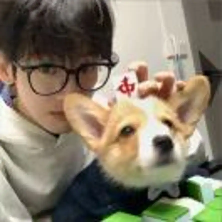 ୧的头像