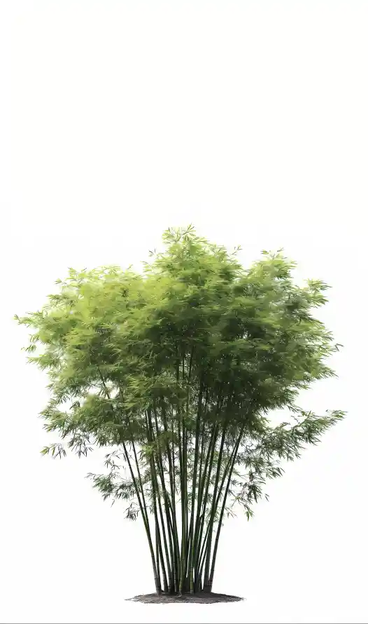 主题背景图片