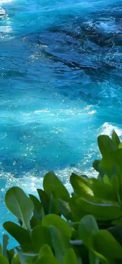 4k树叶壁纸 - 水波 - 海水 - 海洋「哲风壁纸」