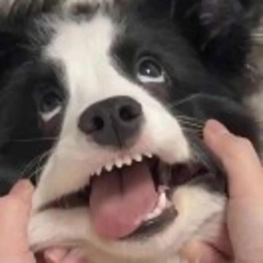 云雾九的头像