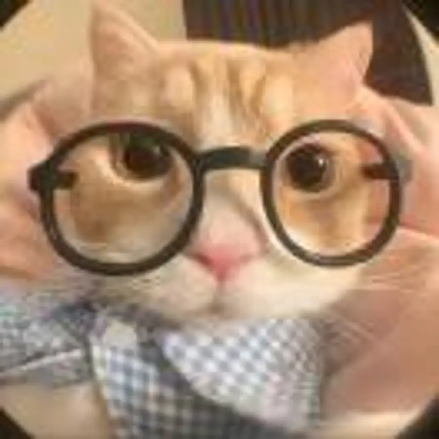 么凹猫的头像