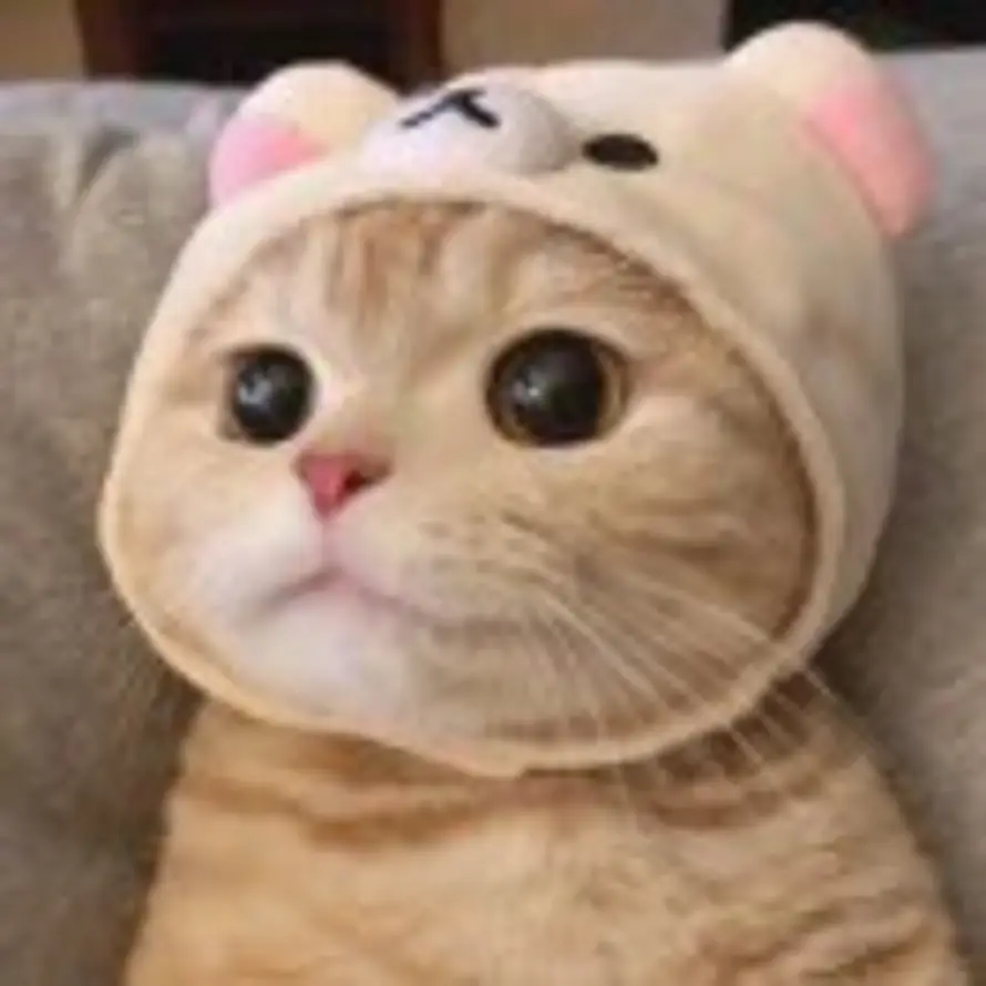 A-的头像