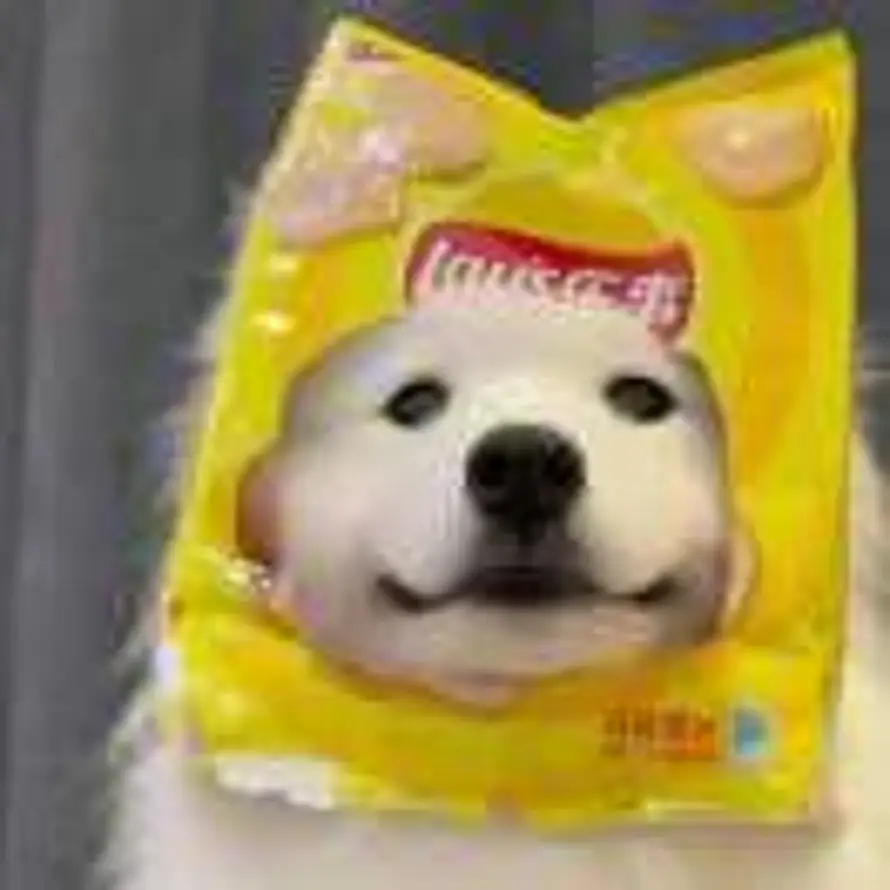 K的头像