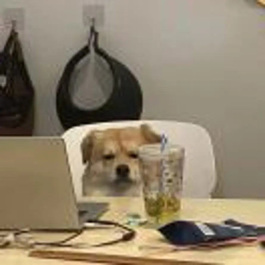 怪我喽的头像