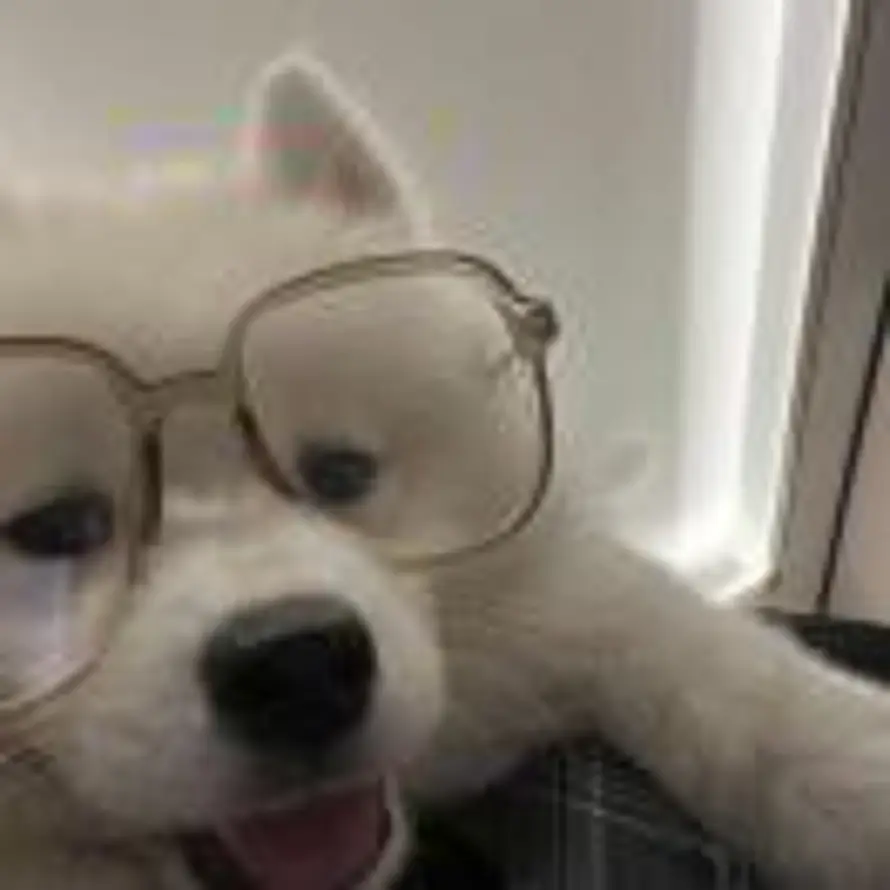 受气包.的头像