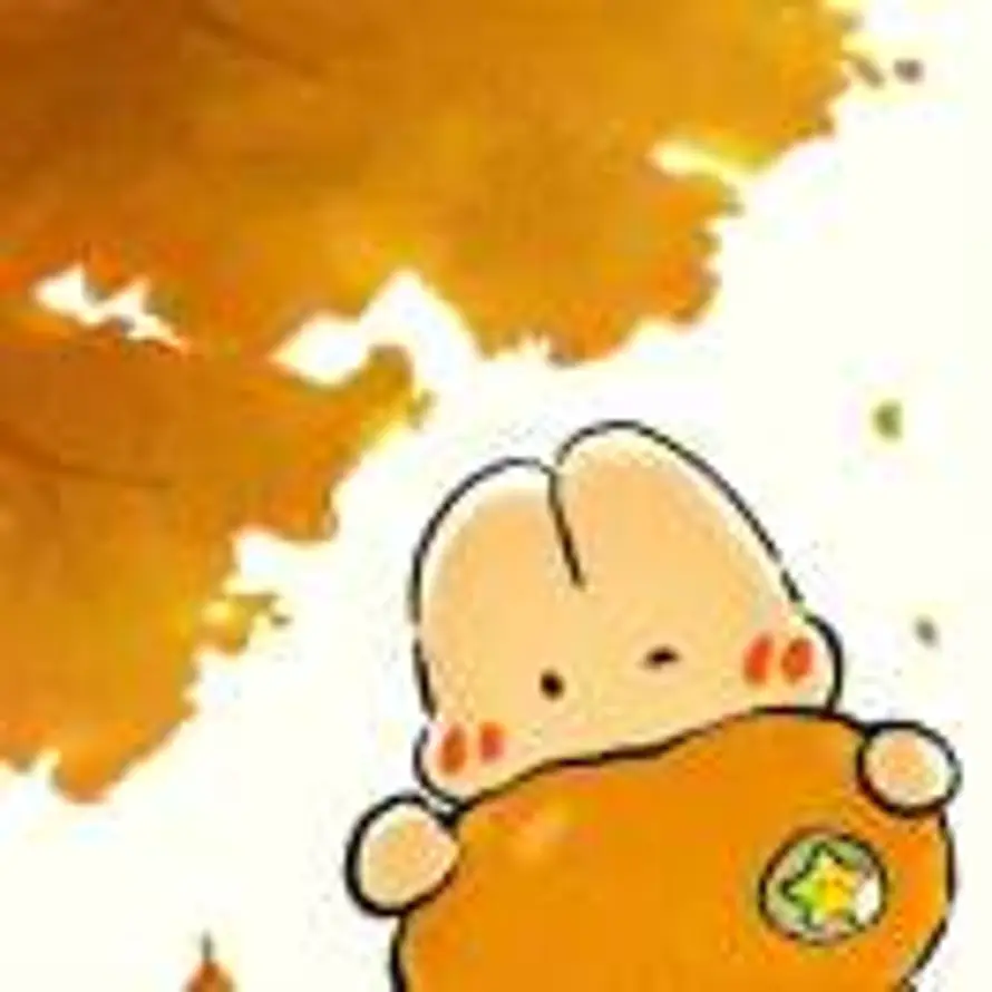 轻舟的头像