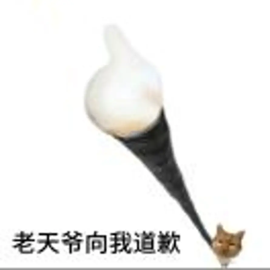 沧沭的头像