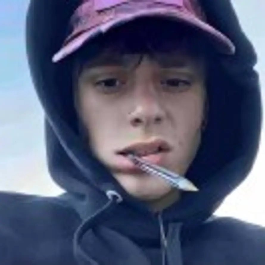 用户雾岛听风的头像