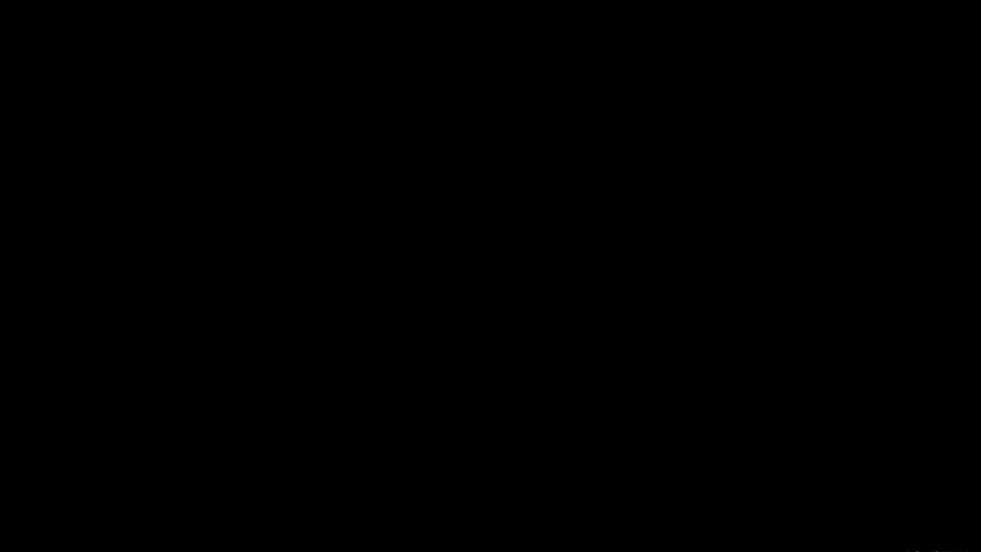 最喜欢的图像
