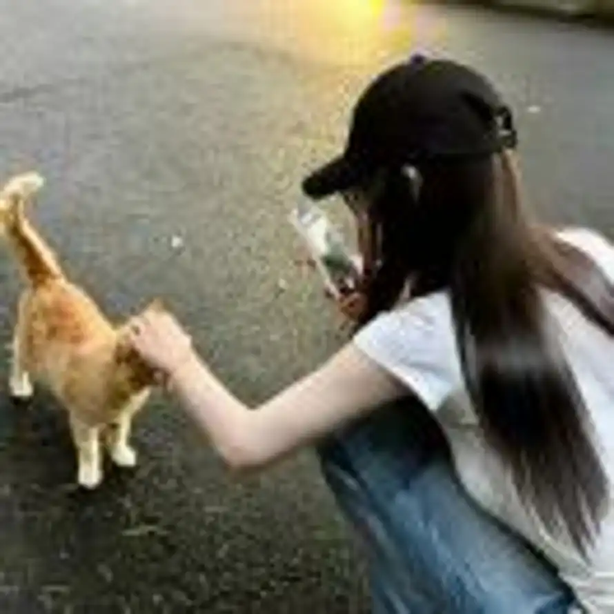 .Zzᙆ的头像