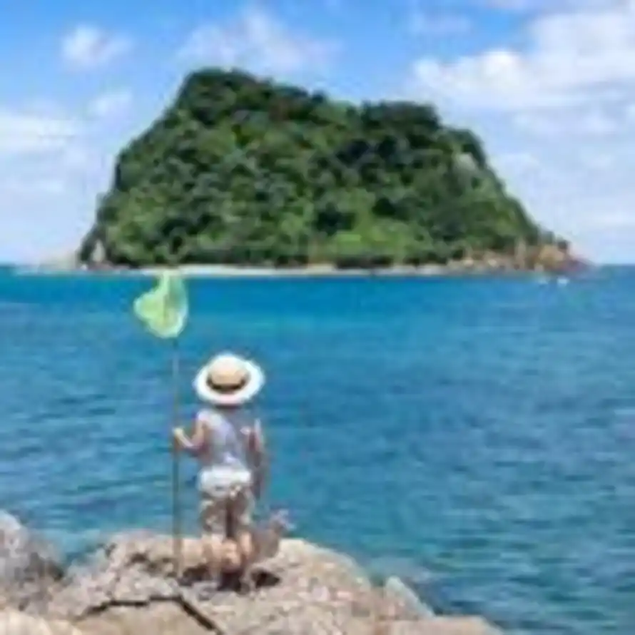 成铭的头像