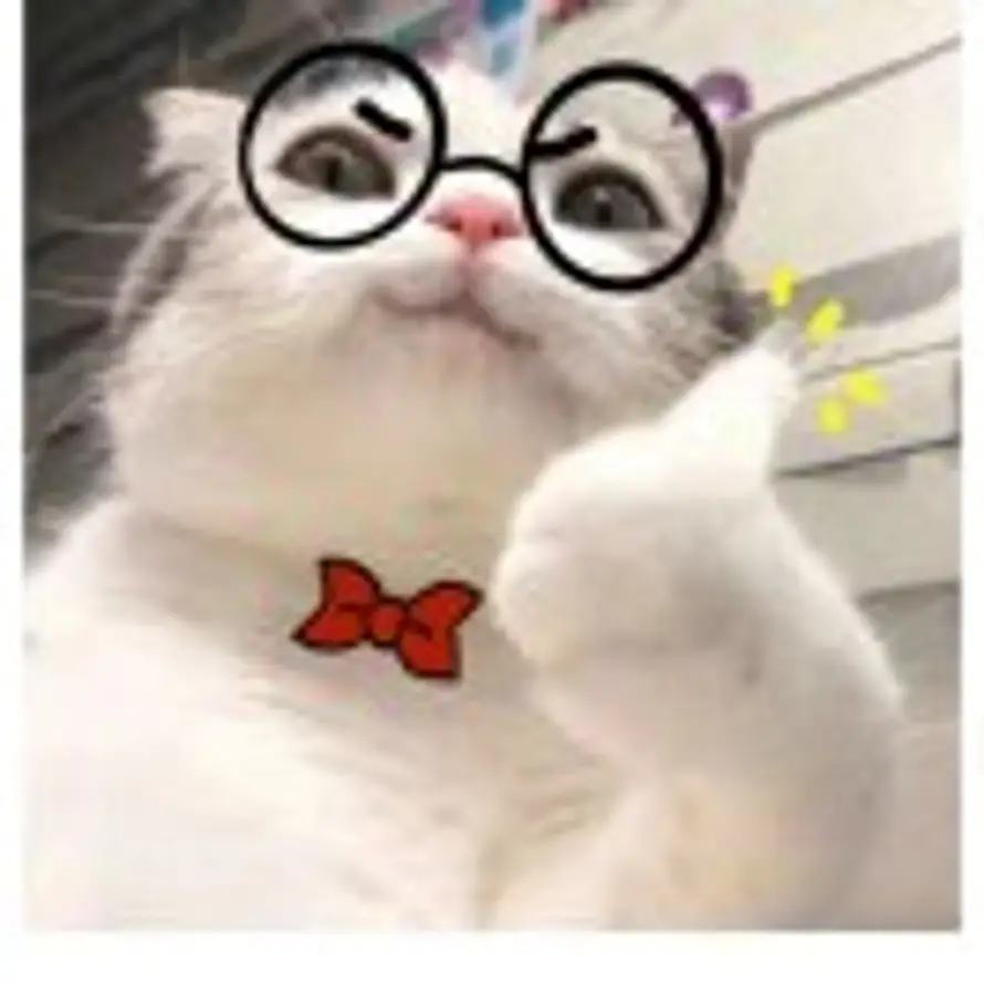 YY的头像