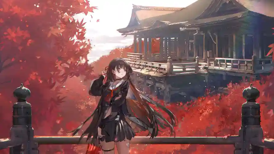 最喜欢的图像