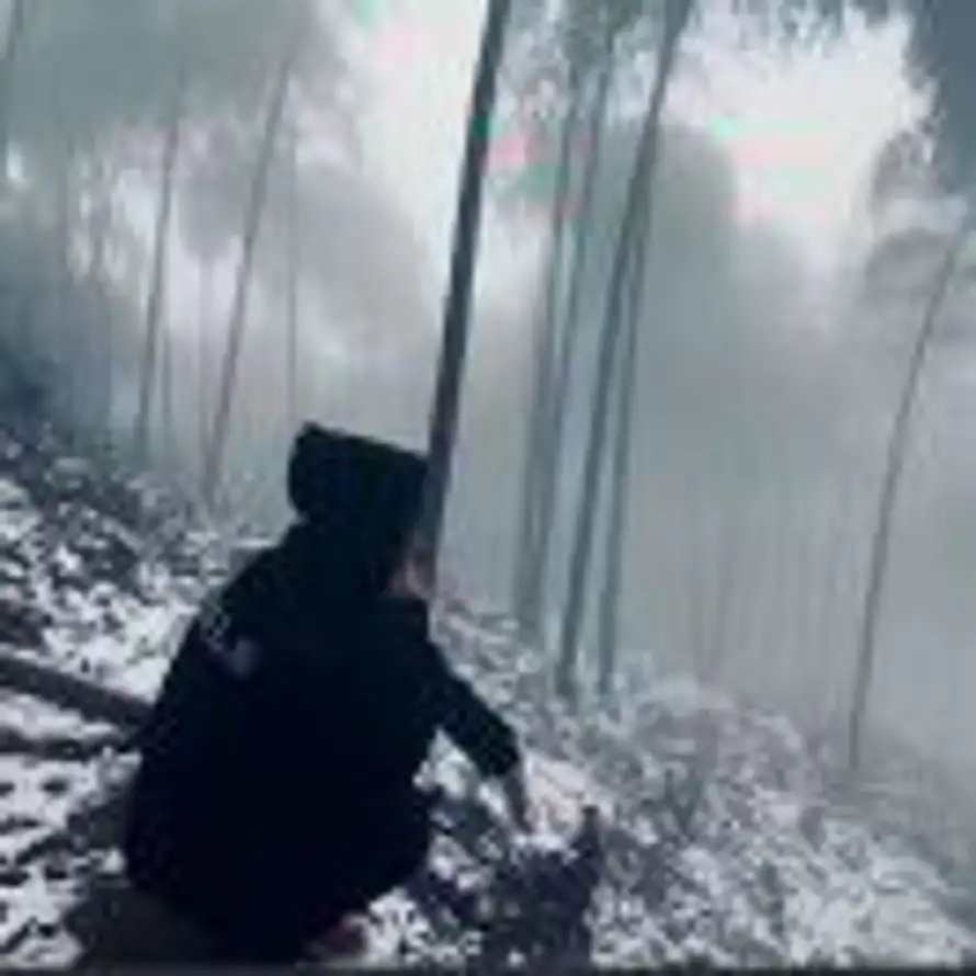 雨天何时会晴的头像