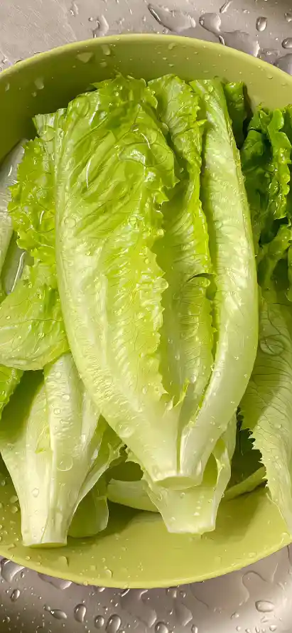 4k新鲜壁纸 - 碗 - 水珠 - 生菜「哲风壁纸」