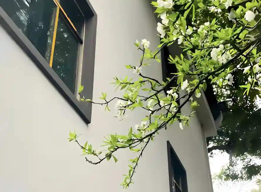 2k建筑壁纸-ins风壁纸和白花-壁纸推荐「哲风壁纸」