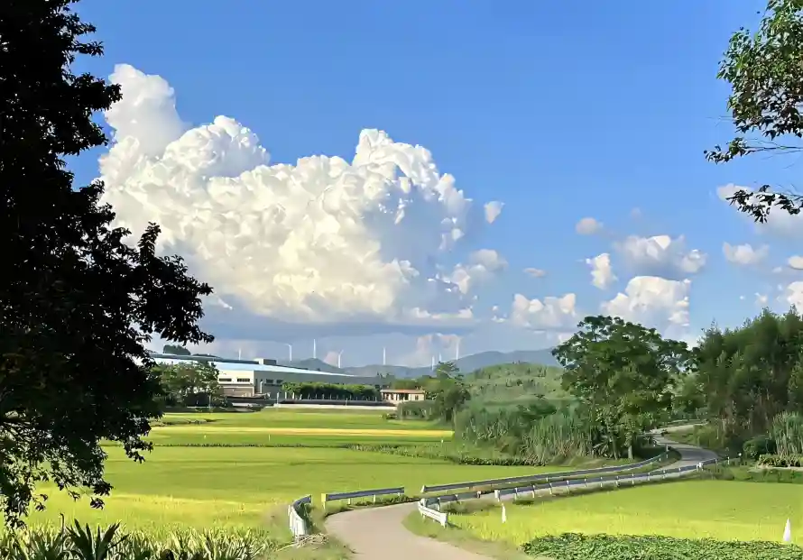 2k小路壁纸-蓝天与白云-壁纸分享「哲风壁纸」