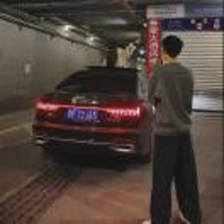 M的头像
