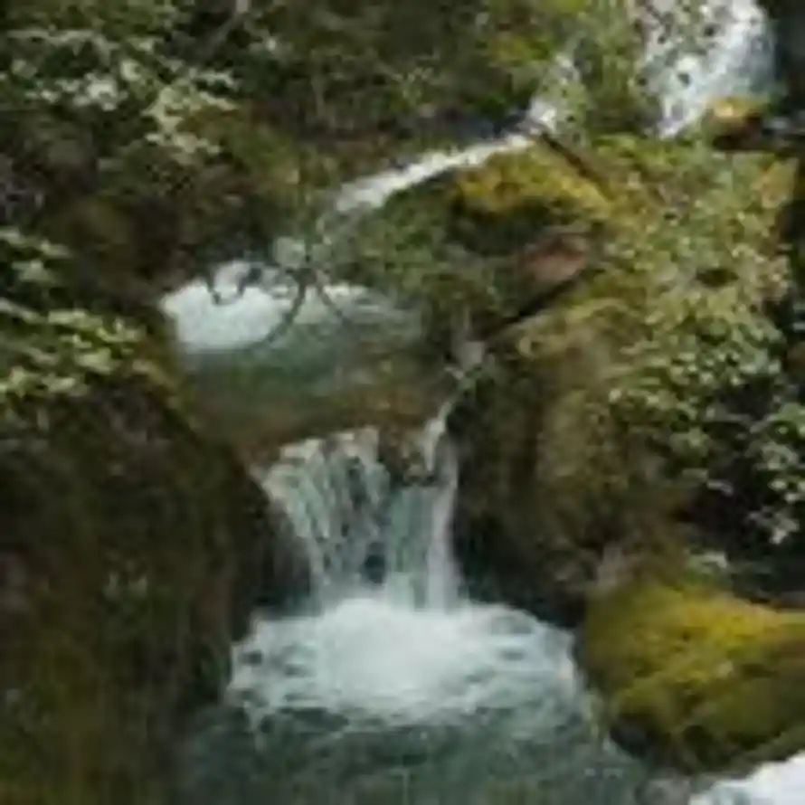 青山涧的头像