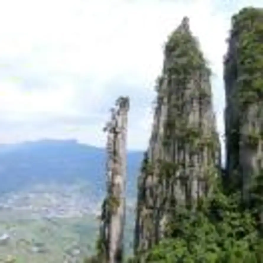 WANG.F的头像