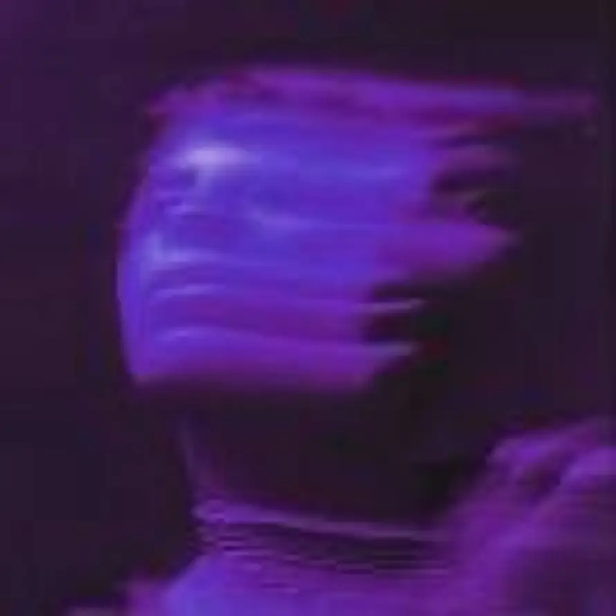JA¥cee的头像