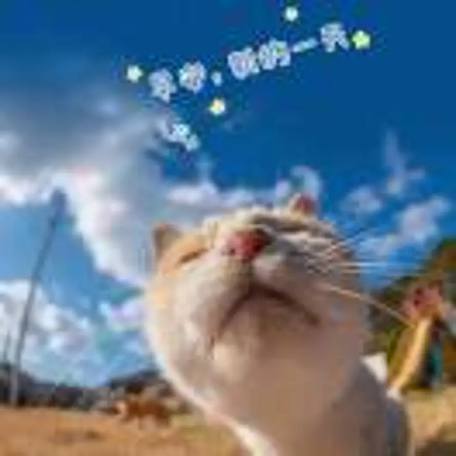 这是的头像