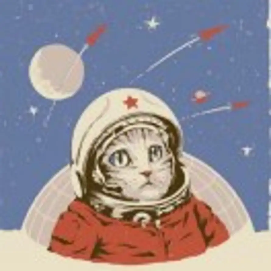 Zz .·*的头像