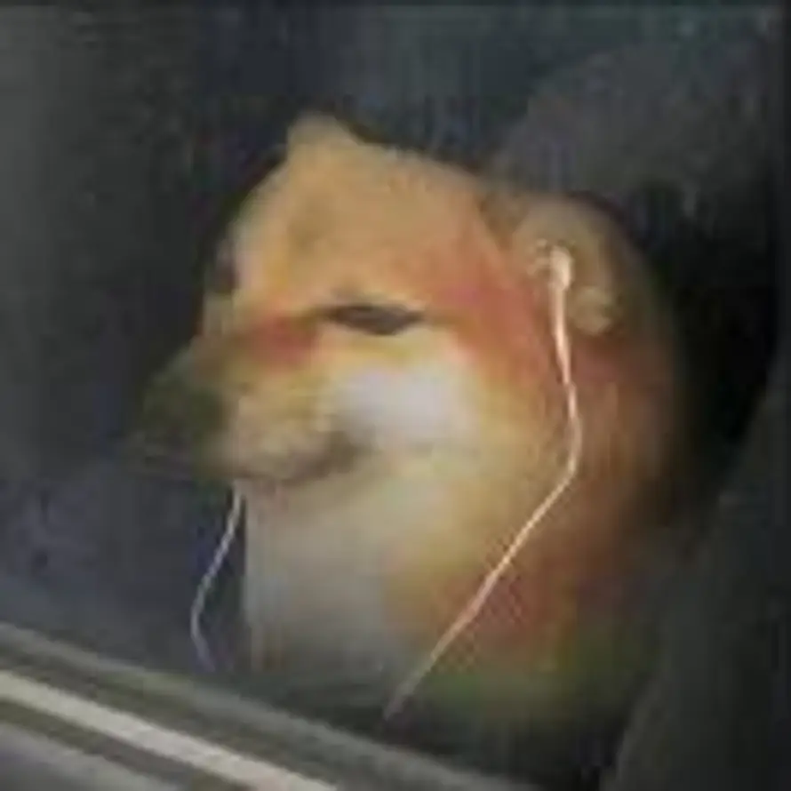 ༺『信用』༻的头像