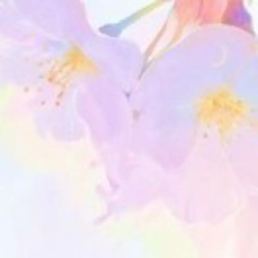 Ascendture的头像