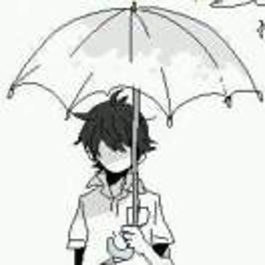 PORDNIAR的头像