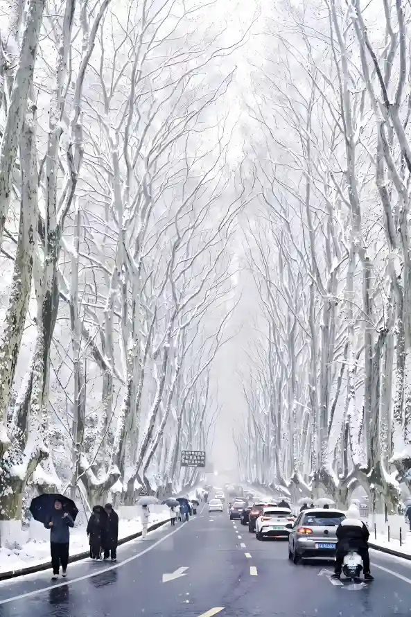 4k冬天壁纸 - 积雪 - 行人 - 车辆「哲风壁纸」