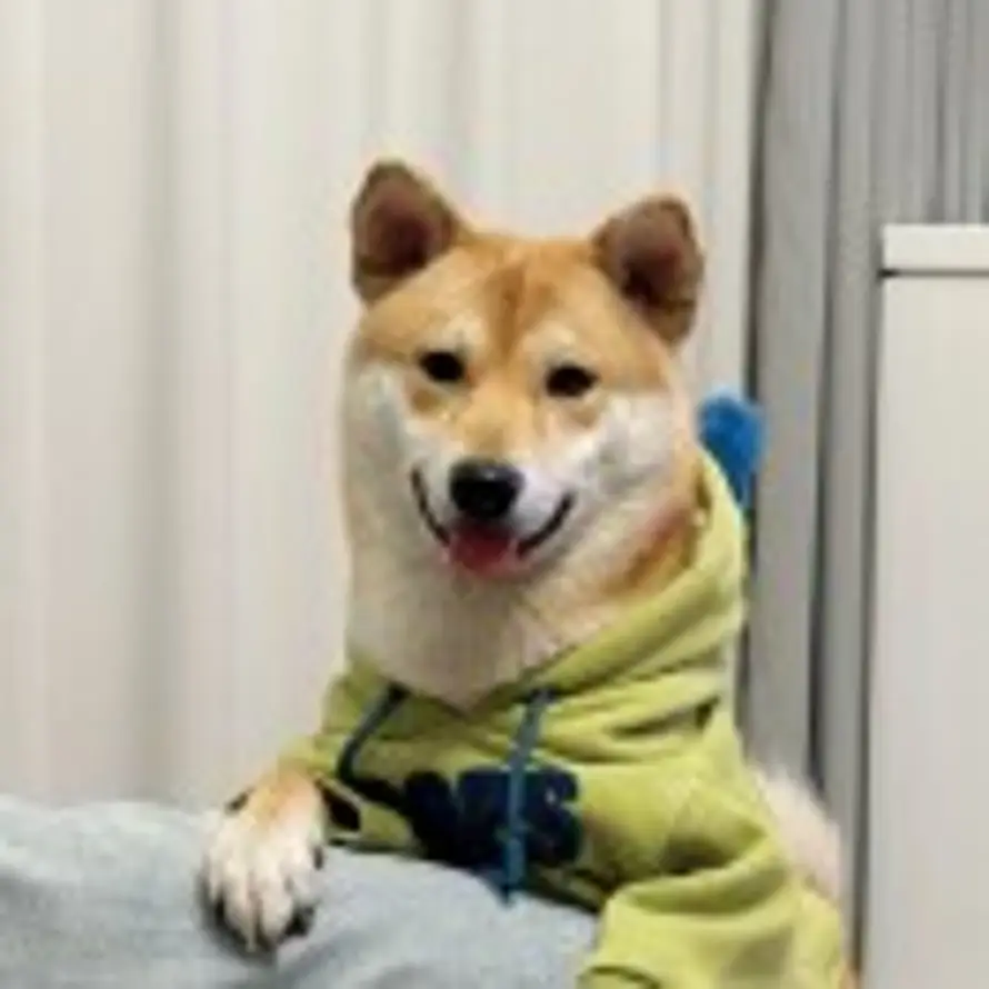 Miles的头像