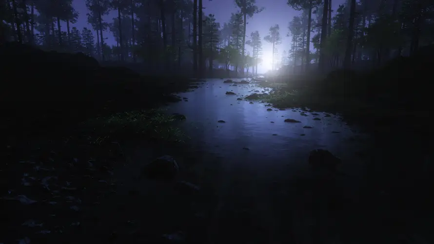 4k夜晚壁纸 - 寂静 - 月光 - 树林「哲风壁纸」 4k夜晚壁纸 - 寂静 - 月光 - 树林「哲风壁纸」